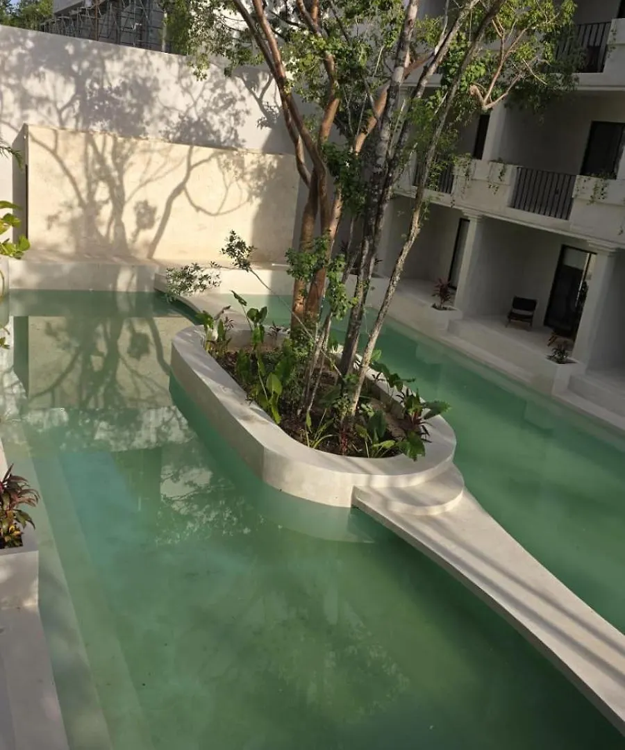 Depa Relax Star In Tulum Apartment
